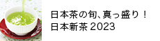 {̏{A^I{V2023