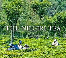 THE NILGIRI TEA