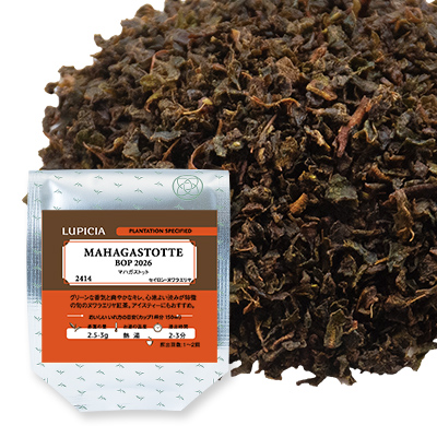 �}�n�K�X�g�b�g 2026 - 50g S �ܓ�