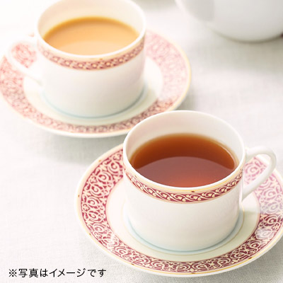  NIeB[ CTC 2025 - 50g S ʓ