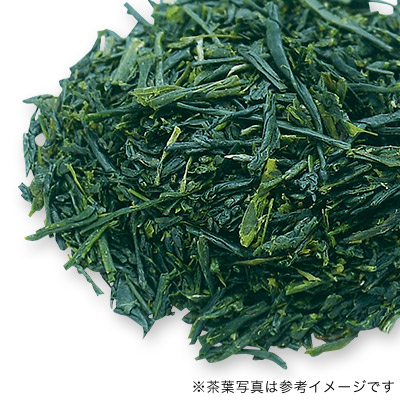 qV  dグ 2023 - 50g S ʓ