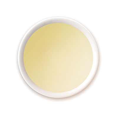 �O�����f�[�� �O���[���g���[�� 2026 - 30g M �ʓ�