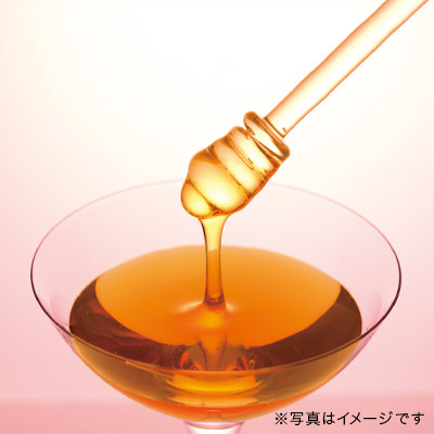 �e�B�[�n�j�[ �T�N�����x���[