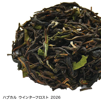 �{�̃j���M�� ���݂���׃Z�b�g 2026