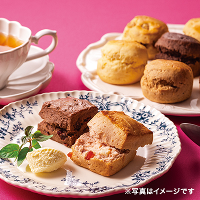 �X�R�[�� �X�g���x���[���z���C�g�`���R���[�g