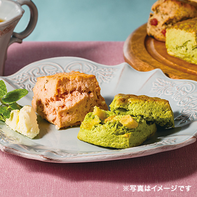 �X�R�[�� �����������S