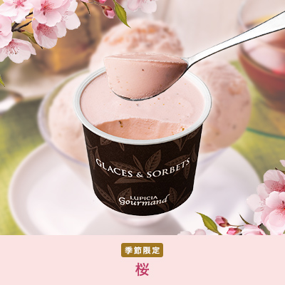 �O���X���\���x �G�ߌ���7��8�Z�b�g�i2026�N3���A4���j