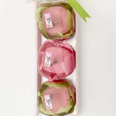 �y�{���}���V�F�z���v���� 3��