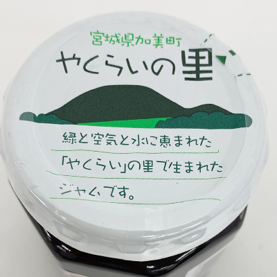 y{}VFz₭炢̗ {錧Yu[x[W×2