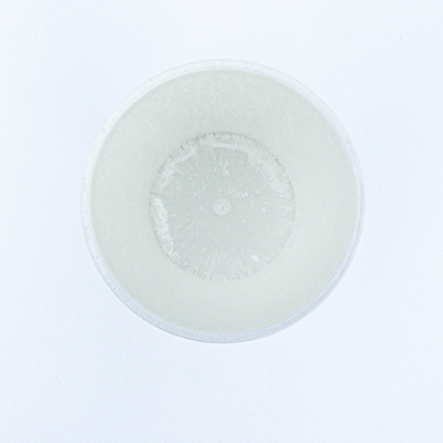 IZ GLASS ጎE V[g