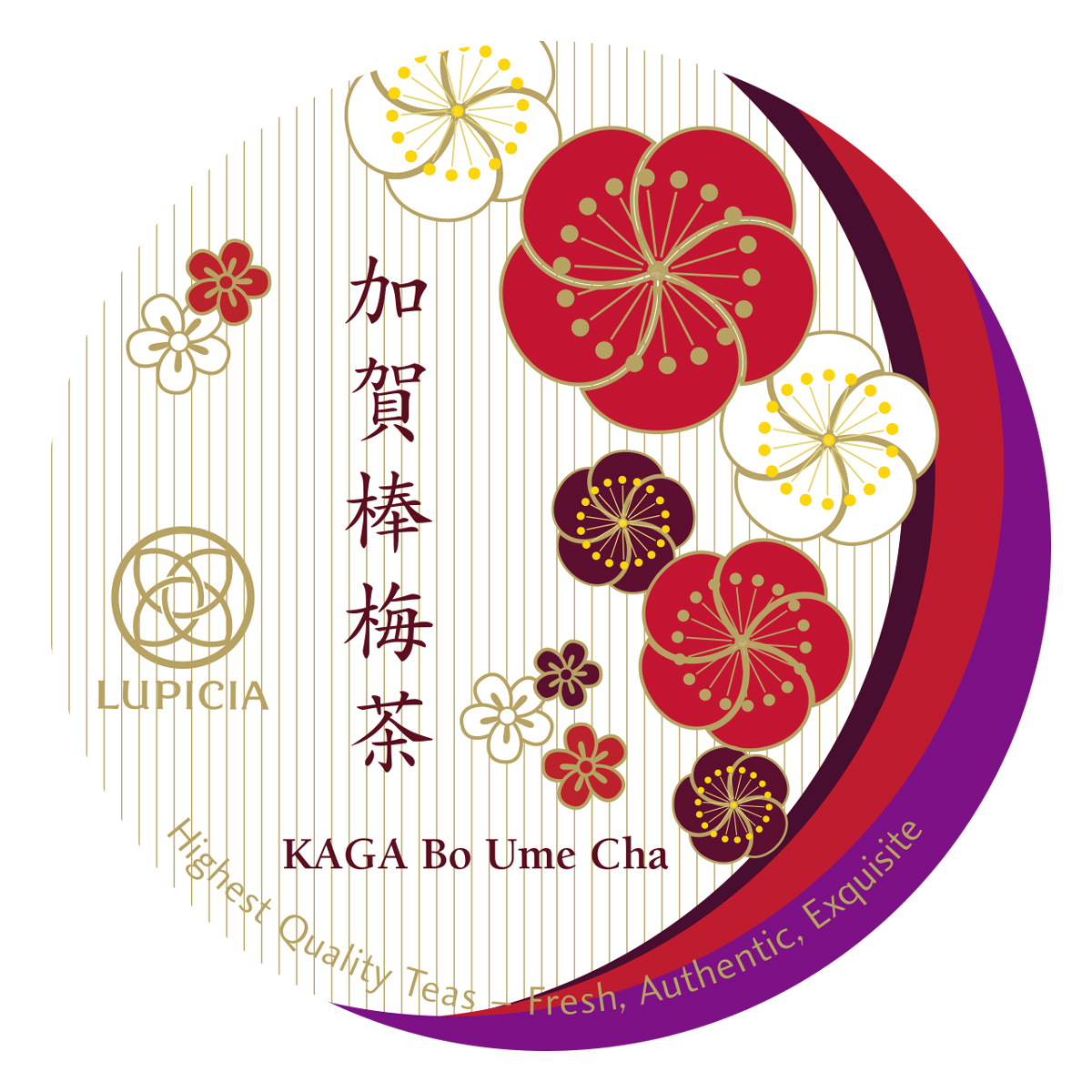 �~�j�`���A�� ����_�~�� 2008