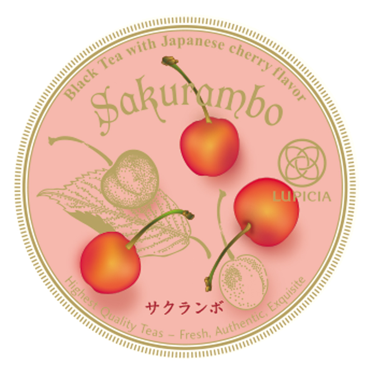 �~�j�`���A�� �T�N�����{ 2012