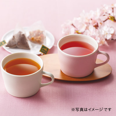 ���Z�� �J�b�v���R���\�[�T�[ �A�C�{���[