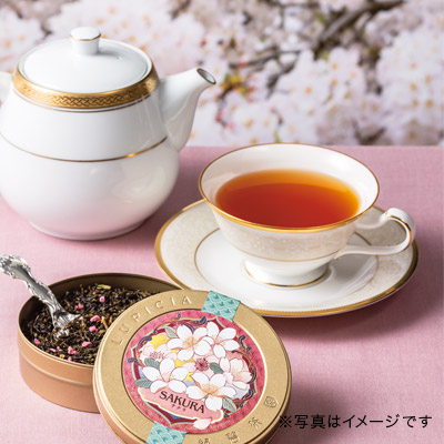 �m���^�P �J�b�v���\�[�T�[ �z���C�g�p���X