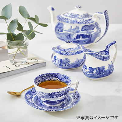 �X�|�[�h �u���[�C�^���A�� �J�b�v���\�[�T�[