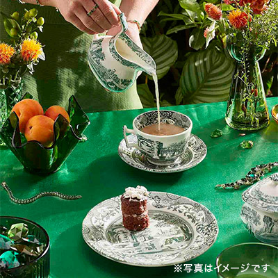 �X�|�[�h �O���[���C�^���A�� �J�b�v���\�[�T�[