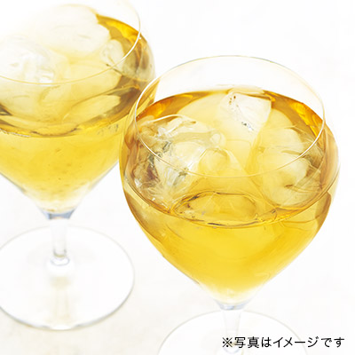 ダージリン ファーストフラッシュ 2026 〜水出しアイスティー〜 ティーバッグ10個入