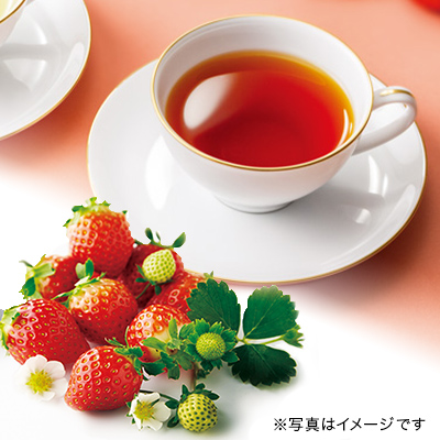 とちおとめ 〜苺の紅茶〜 ティーバッグ10個限定デザインBOX入