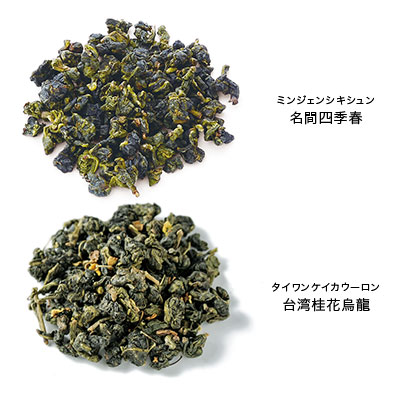台湾茶巡り 5種セット