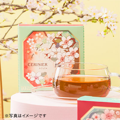 �X���W�G �e�B�[�o�b�O10����f�U�C��BOX��