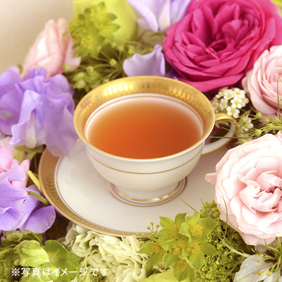 �����V�[ �~���t�H�� �e�B�[�o�b�O10����f�U�C��BOX��