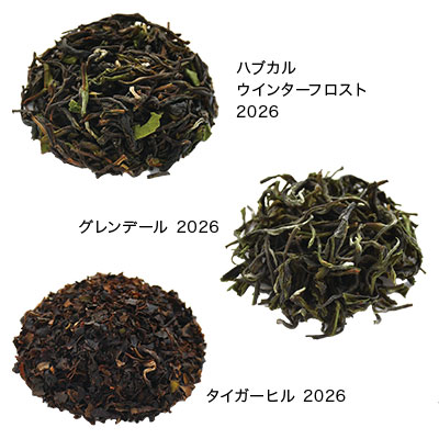 �j���M�����݂���׃Z�b�g�Ƃ��َq�u���R�v