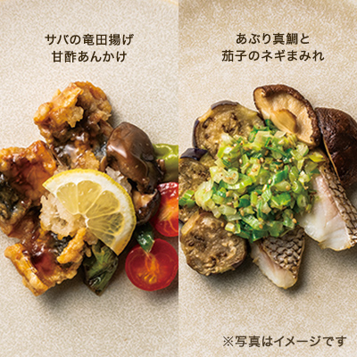 Gohanto ���i�Z�b�g �M�t�gBOX��