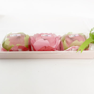 �y�{���}���V�F�z���v���� 3��