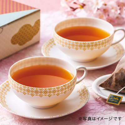 NISHIKAWA JAPAN KATA Teacup �V��