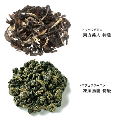 台湾茶巡り 5種セット