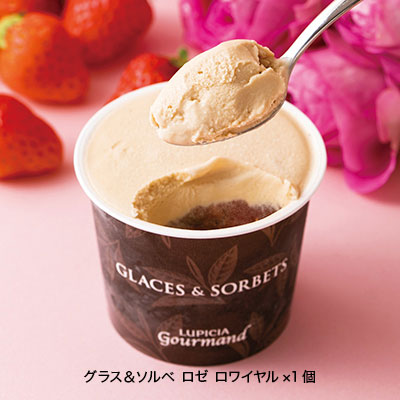 �y��GM����܂Ƃߔ����z�O���X���\���x�G�ߌ���i6�Z�b�g