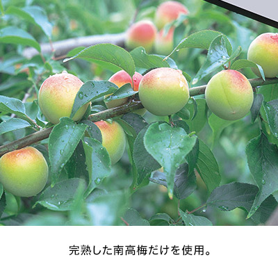 IB썂~ ~[[MtgZbg