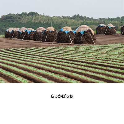 らっかぼっち〜落花生の塩バターケーキ