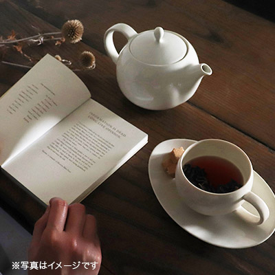 美濃焼 ティーポット 330ml アッシュホワイト