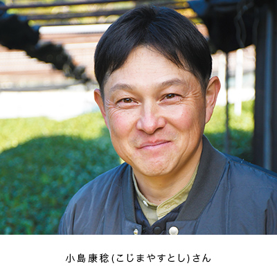 �F�����얕�� - 20g���ʃp�b�P�[�W