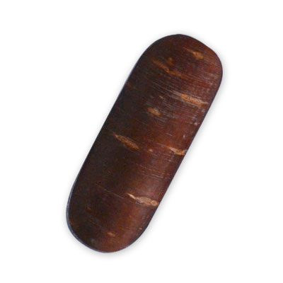 ���{���ƒ���Ƃ��َq�u�����v