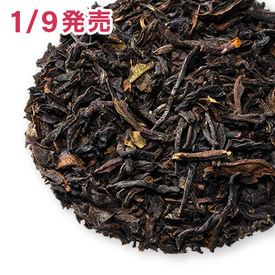 �_�[�W���� �I�[�^���i�� 2025 - 50g M �ܓ�