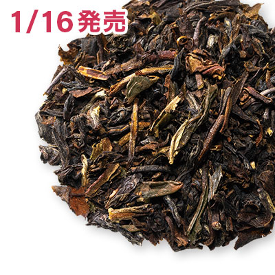 グームティー マスカテルバレー, 2025-DJ103 - 50g M 袋入