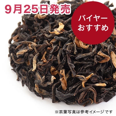 �A�b�T�� �v���~�A�� �N�I���e�B�[ 2026 - 50g S �ܓ�