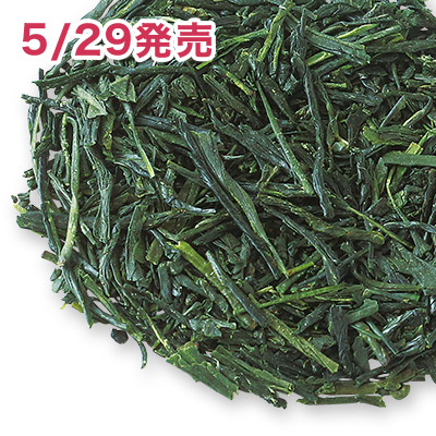 宇治新茶 やぶきた 2026 - 50g S 袋入