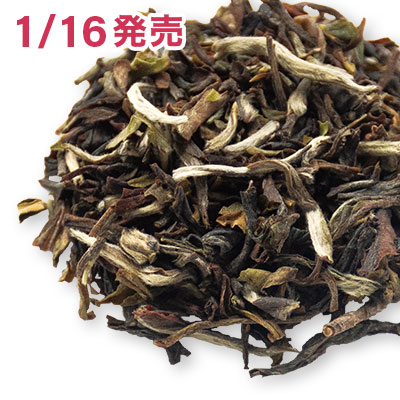 マーガレッツホープ ムーンライト, 2025-DJ690 - 20g M 袋入