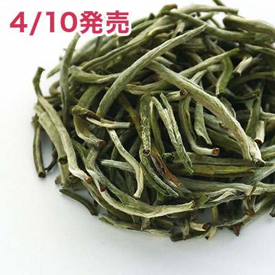 �`�������W �z���C�g�e�B�[ 2026 - 20g S �ܓ�