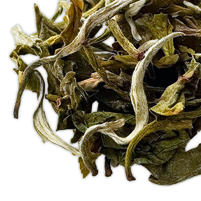 �O�����f�[�� �z���C�g�e�B�[ - 20g M �ܓ�