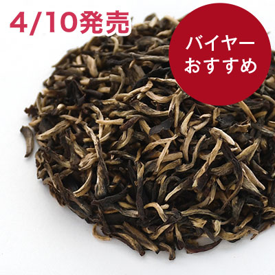 �`�������W �S�[���f���`�b�v�X 2026 - 30g S �ܓ�