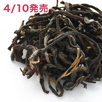 �O�����f�[�� �I�����W�c�C�X�g 2026 - 30g M �ܓ�