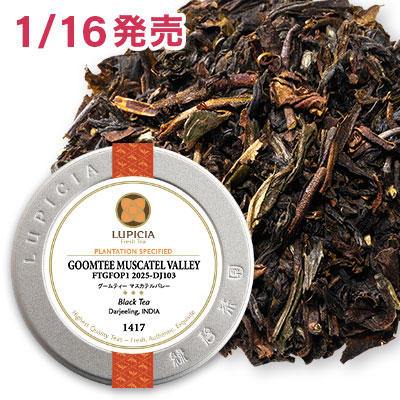 グームティー マスカテルバレー, 2025-DJ103 - 50g M 缶入