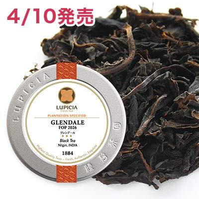 �O�����f�[�� 2026 - 50g M �ʓ�