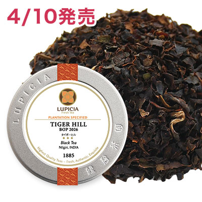 �^�C�K�[�q�� 2026 - 50g M �ʓ�