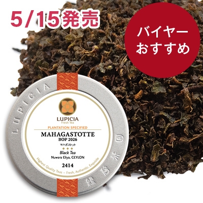 �}�n�K�X�g�b�g 2026 - 50g S �ʓ�