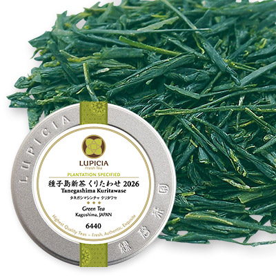 ��q���V�� ���肽�킹 2026 - 50g S �ʓ�